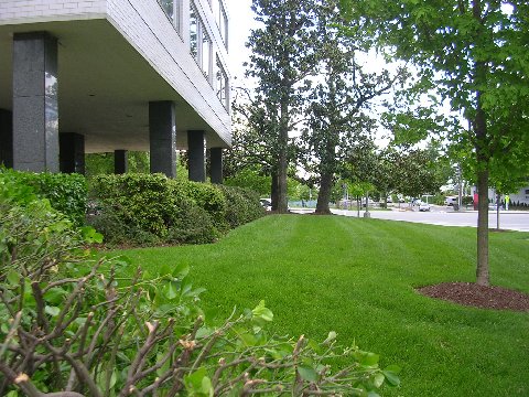 Potomac Plaza Front Lawn