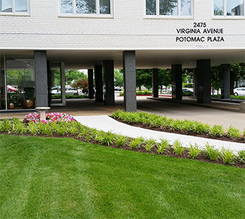 Northwest lawn and portico of the building.